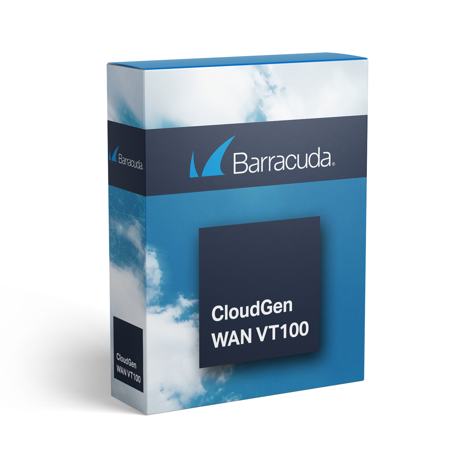Barracuda CloudGen WAN VT100